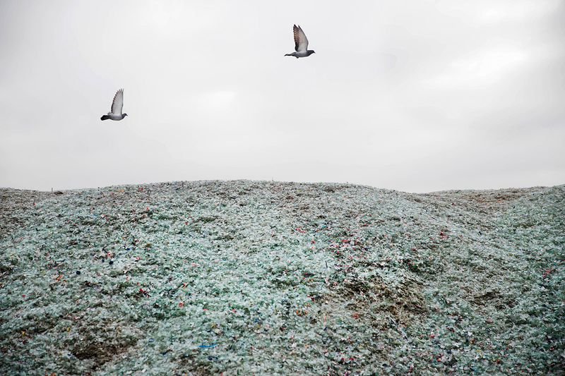 Birds fly above broken glass.